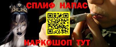 МДПВ Будённовск